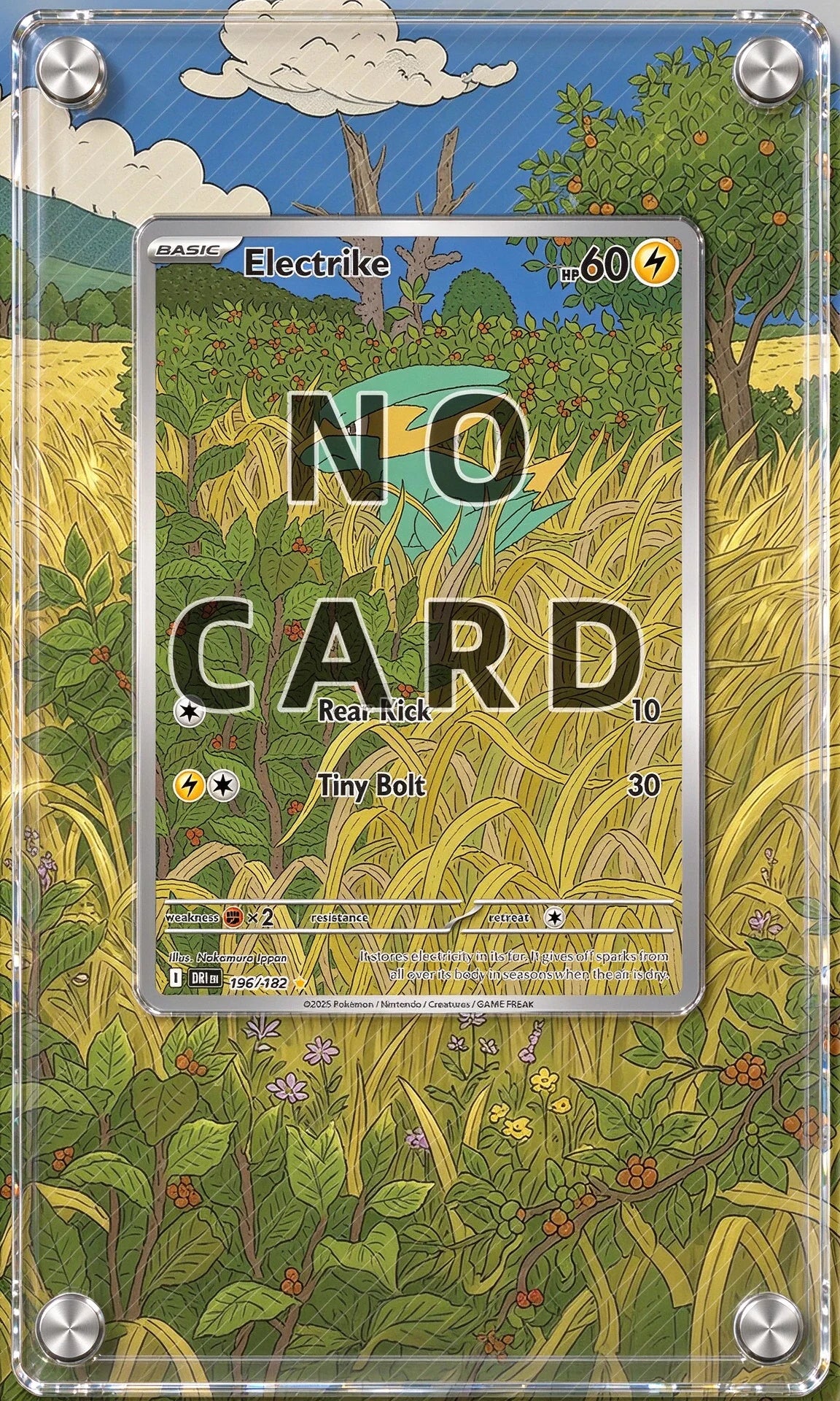 Acrylic Anime Card Display Frame