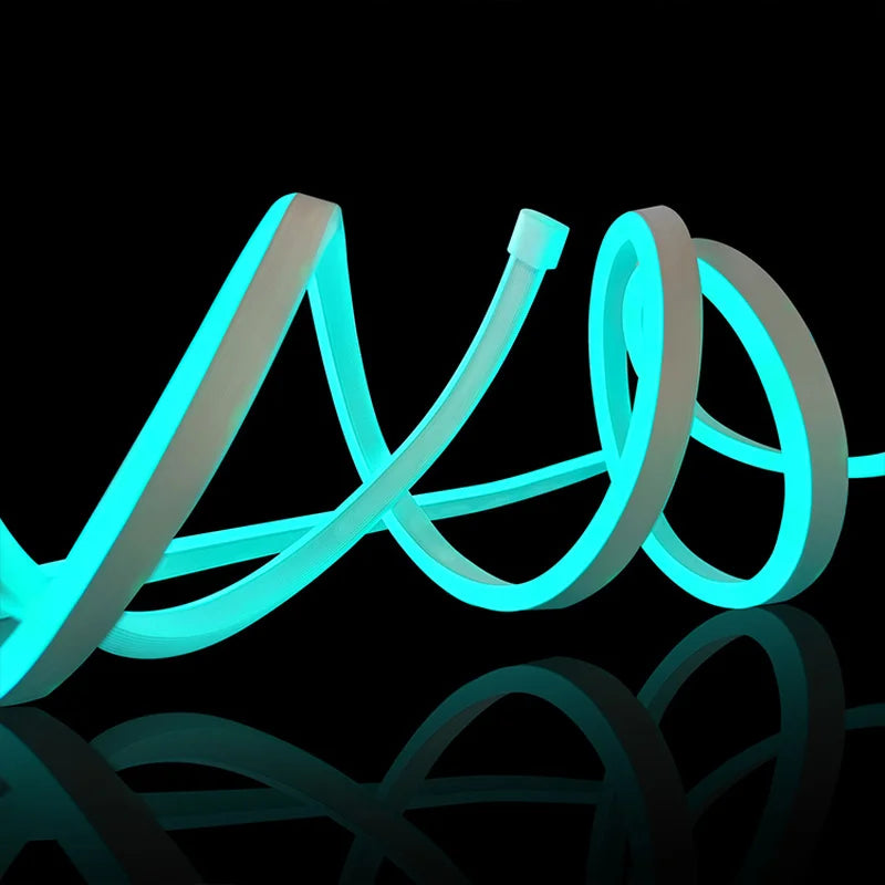 RGB Neon LED Strip Light, 5 m