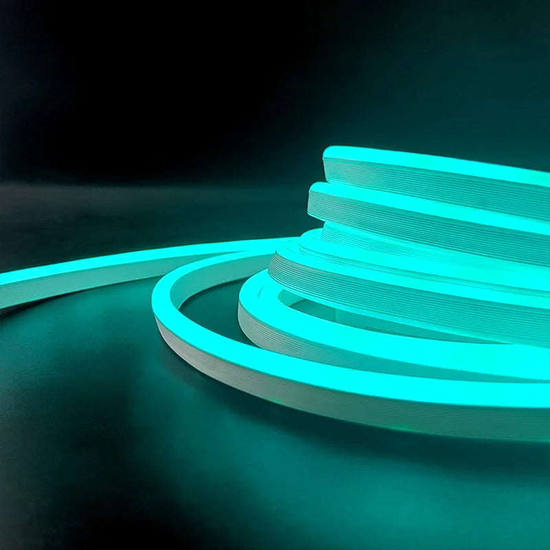 RGB Neon LED Strip Light, 5 m