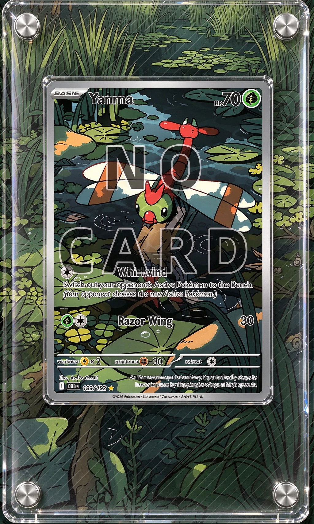 Acrylic Anime Card Display Frame